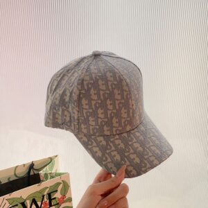 Dior Baseball Cap Oblique Motif Canvas Grey