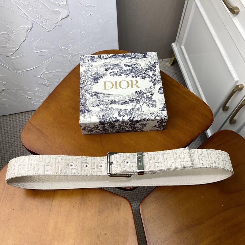 Dior Belt Oblique Motif Canvas White/Silver - Image 2