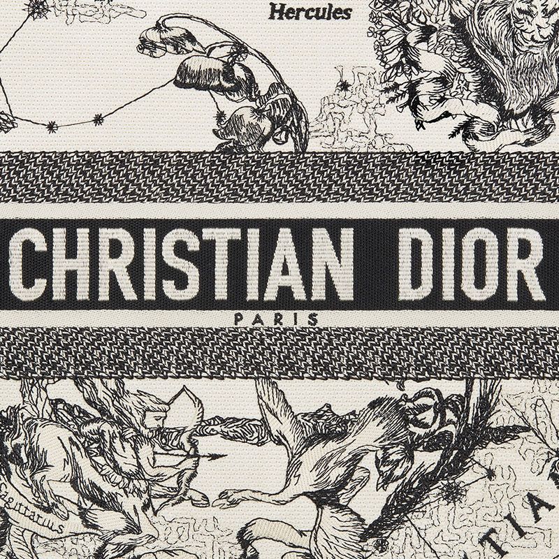 Dior Book Tote In Toile de Jouy Zodiac Motif Canvas White - Image 5